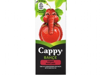 Cappy Vişne (20 Cl.) görseli