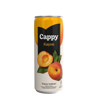 Cappy Kayısı görseli
