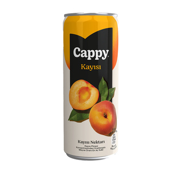 Cappy Kayısı (33 Cl) görseli