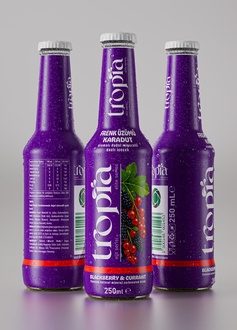 Tropia Frenk Üzümlü Karadutlu Gazoz 250 Ml görseli