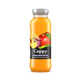Cappy Karışık Meyve görseli