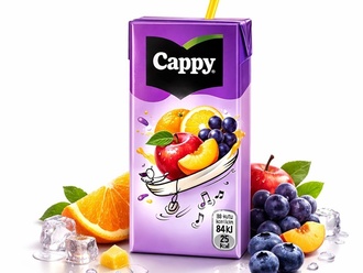 Cappy Karışık Meyve Suyu (20 Cl.) görseli