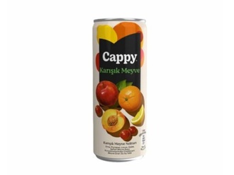 Cappy Karışık Kutu Meyve Suyu (33 Cl.) görseli