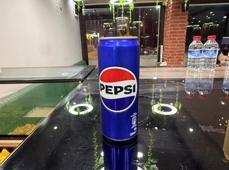Pepsi (33 Cl.) görseli