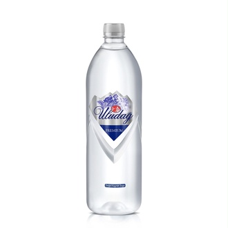 Uludağ Premium Su (400 Ml) görseli