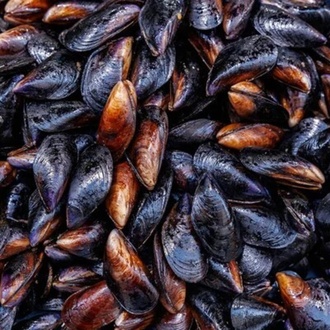 Midye Dolma Günlük Taze ( Sıcak ) 100 Adet görseli
