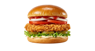 Klasik Çıtır Tavuk Burger + Patates Kızartması görseli