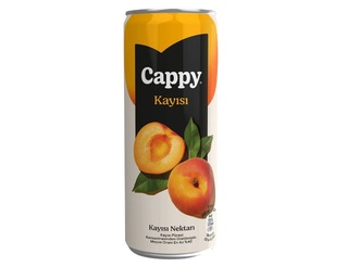Cappy Kayısı (33 Cl) görseli