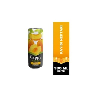 Cappy Kayısı (33 Cl) görseli
