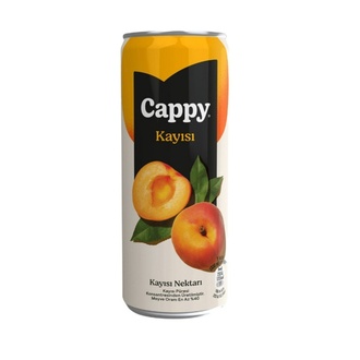 Cappy Kayısı görseli