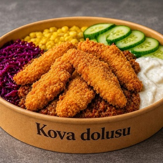 🪣Kova Tenders🍗bowl(görsel Temsilidir)... görseli