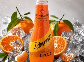 Schweppes Mandarin (25 Cl.) görseli