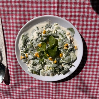 Yoğurtlu Semizotu Mezesi(250 Gr) görseli