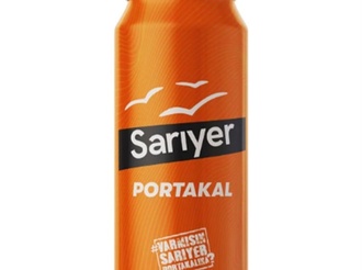Fanta (33 Cl) görseli